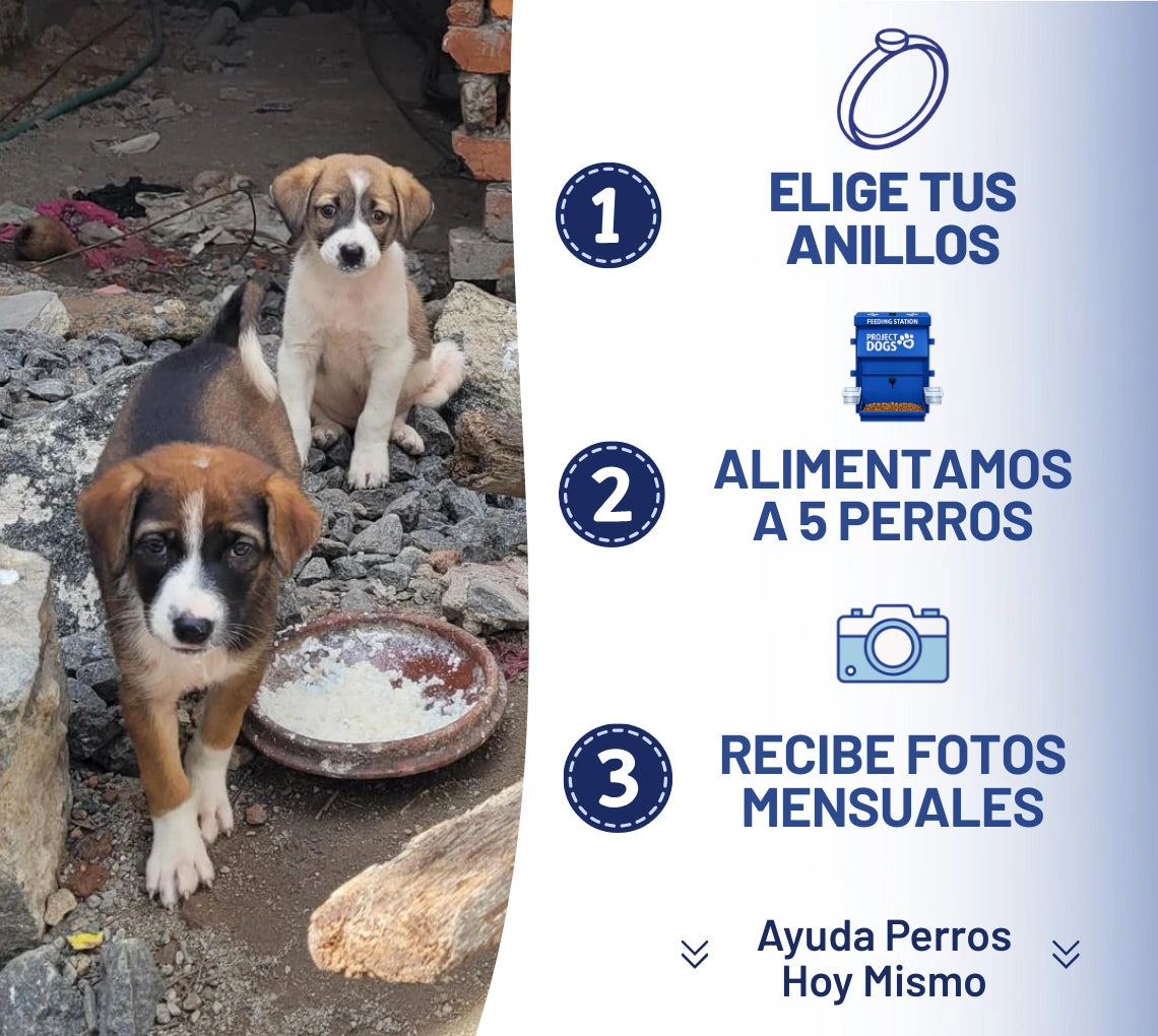 Anillo Ajustable Unión